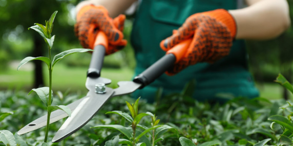 Services jardinage bricolage : la solution simple pour vos petits travaux