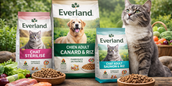 Croquettes Everland pour chat