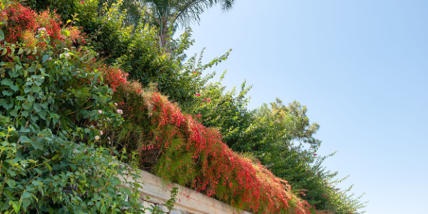 Mur de soutènement dans un jardin : quand est-il nécessaire et comment le dimensionner ?