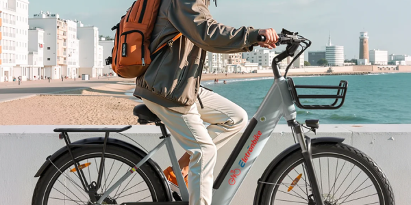 Guide d'Achat VAE : Quel Vélo Électrique Eletronbike Choisir pour le Quotidien et les Loisirs ?